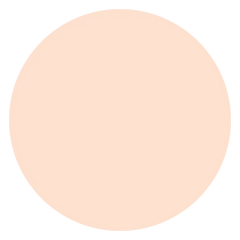 ASTRA NATURAL SKIN POWDER Polvere compatta effetto seta