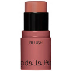 DIEGO DALLA PALMA ALL IN ONE - BLUSH STICK