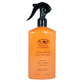 RICORDI D’ORIENTE Acqua Bronze superabbronzante spray olio di argan e aloe vera 400ml