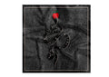 Emanuela Biffoli Foulard Con Stampa