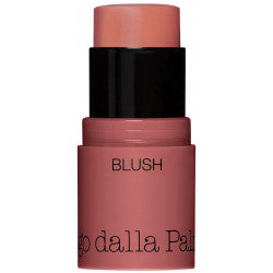 DIEGO DALLA PALMA ALL IN ONE - BLUSH STICK